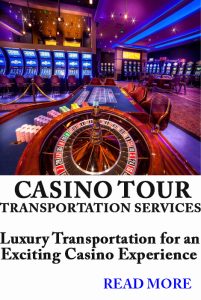 Home casino tour